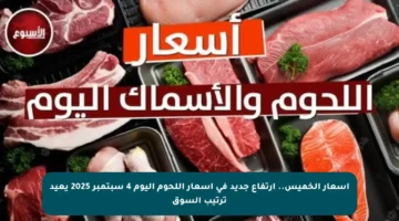 أسعار الخميس.. ارتفاع جديد في أسعار اللحوم اليوم 4 سبتمبر 2025 يعيد ترتيب السوق